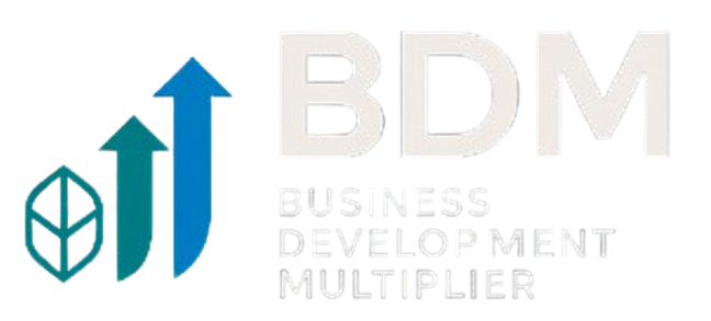 bdmtech.biz